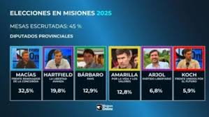 Elecciones en Misiones: gana el oficialismo y LLA queda en segundo lugar, aunque el escrutinio sigue muy lento