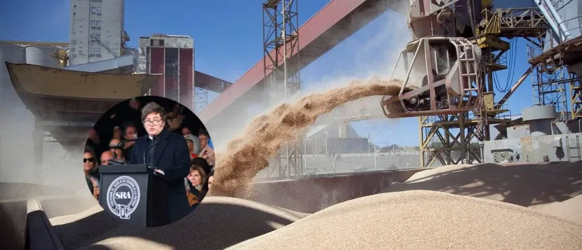 Una por una, cómo quedan los nuevos impuestos a la carne, soja y resto de los granos
