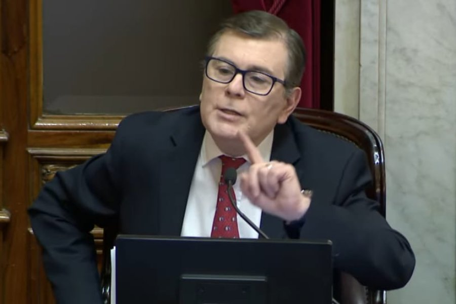 El senador santiagueño Zamora votó en contra del proyecto de “modernización laboral” y pidió consensos amplios para una verdadera reforma