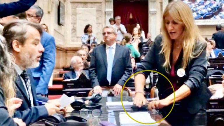 Escándalo en Diputados: la kirchnerista Carignano desconectó cables e intentó boicotear la sesión