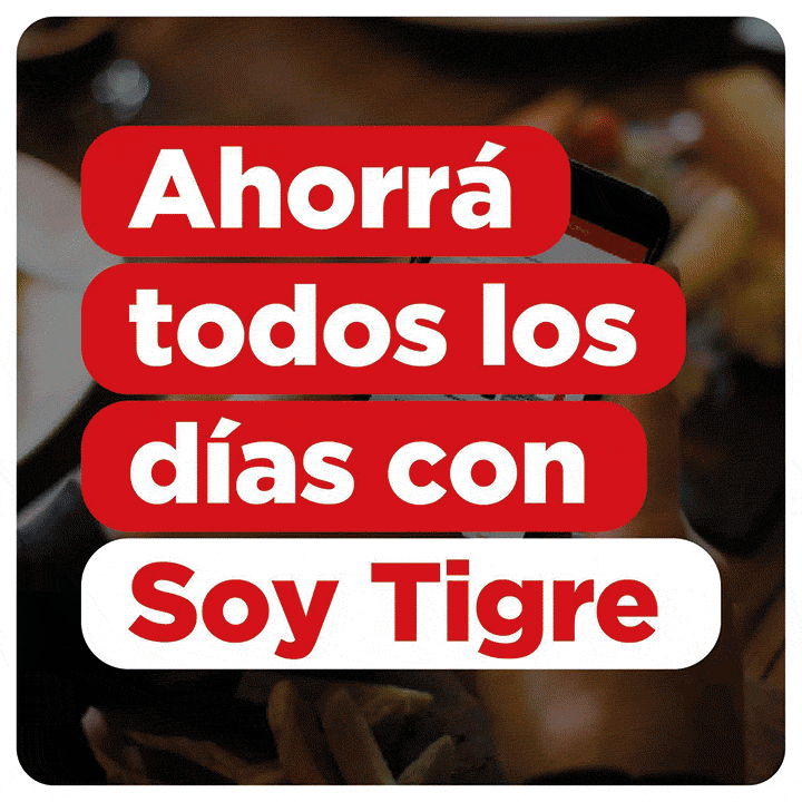Banner TIGRE – 2026/01